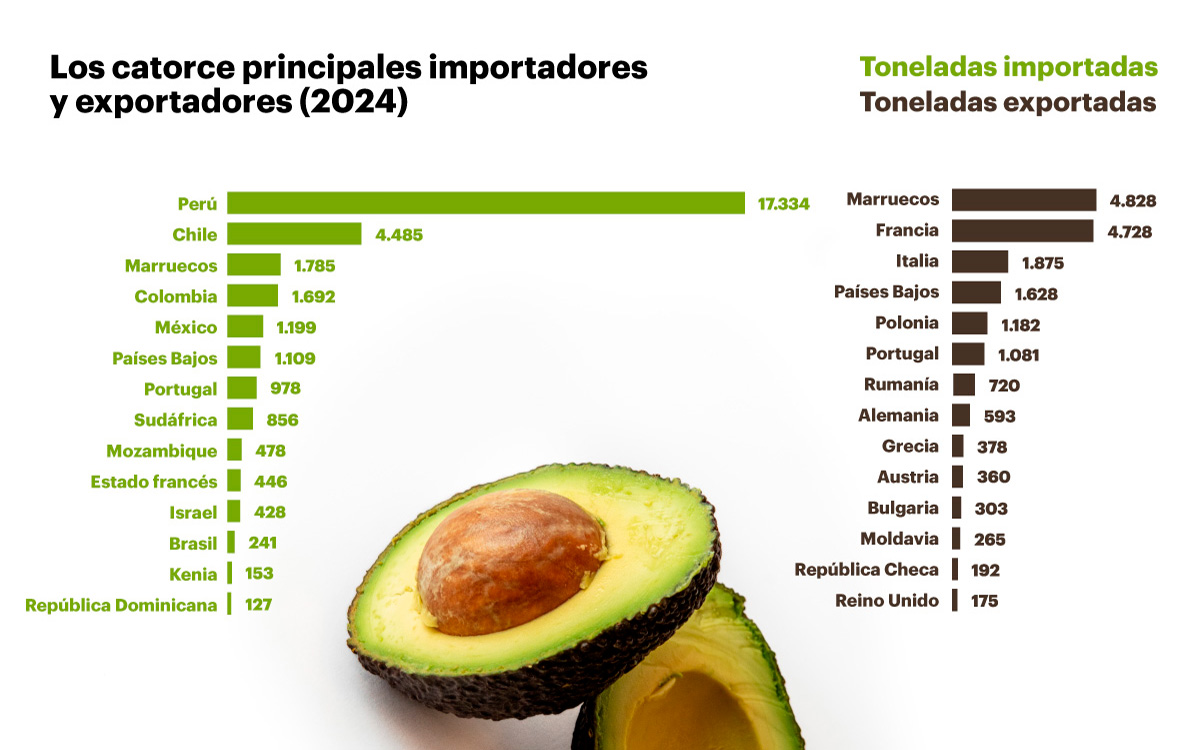 01 AguacateDirecta 14