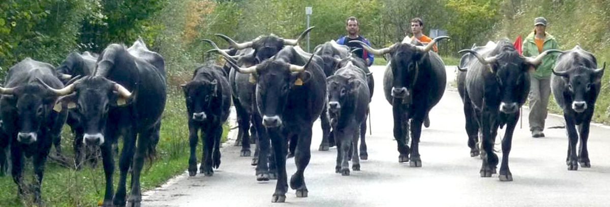 Paisajes que no arden 0