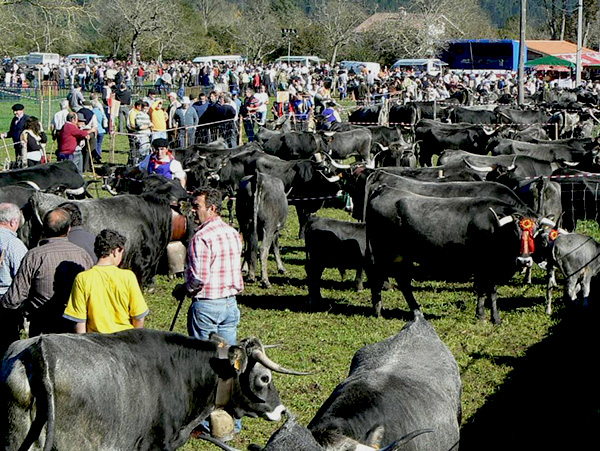 Paisajes que no arden 02