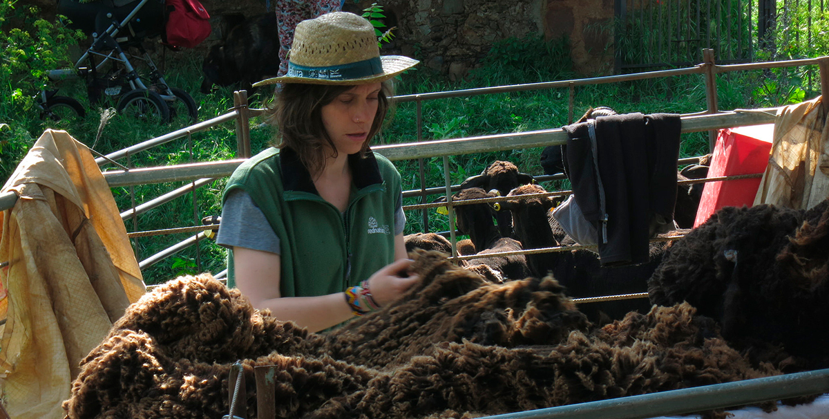Begona Lozano ACTYVA sorteo lana rebano Merineando Caceres BBBFarming