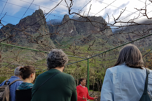 Finca Los Berrazales