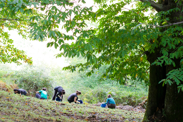 Recogida Castañas Cooperativa Amarelante Foto Natalia Nogueira 02