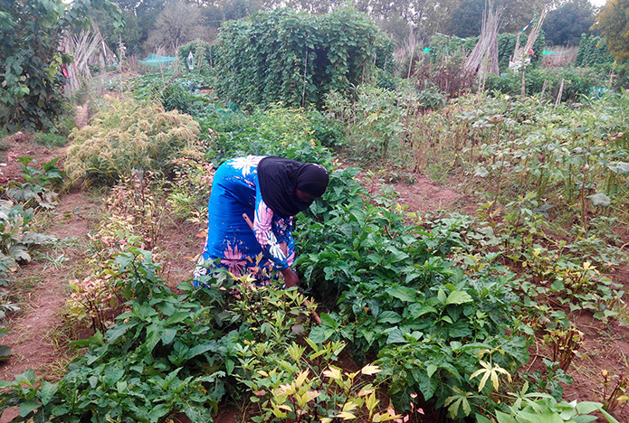 huertas hawa2 Erik Hobbelink