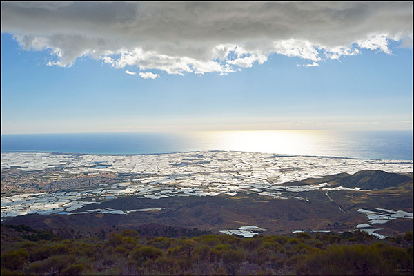 Invernaderos en Almeria FNCA
