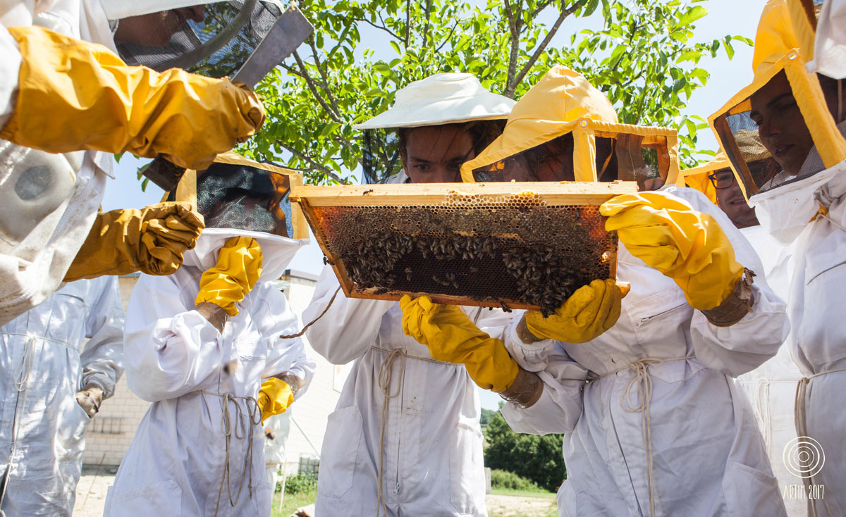 apicultura taller artim 2020