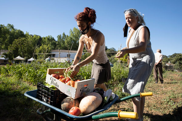 CursoAgroecologia DavidGuillen01