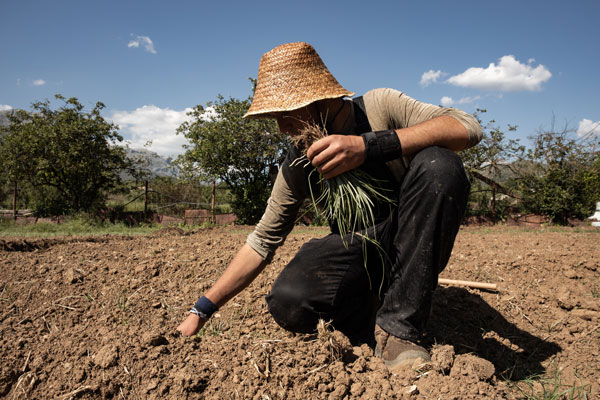 CursoAgroecologia DavidGuillen02