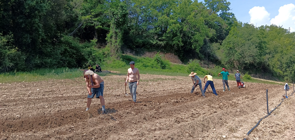 49 Trabajo-comunitario-siembra-de-la-patata