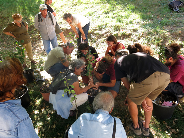 49 3 Guardianes de la semilla