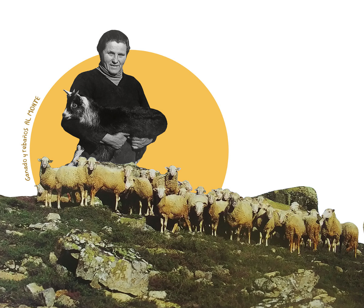 49 4 CaleaoTierraVoz1