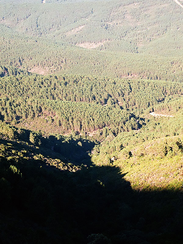 49 3 Guardianes de la semilla